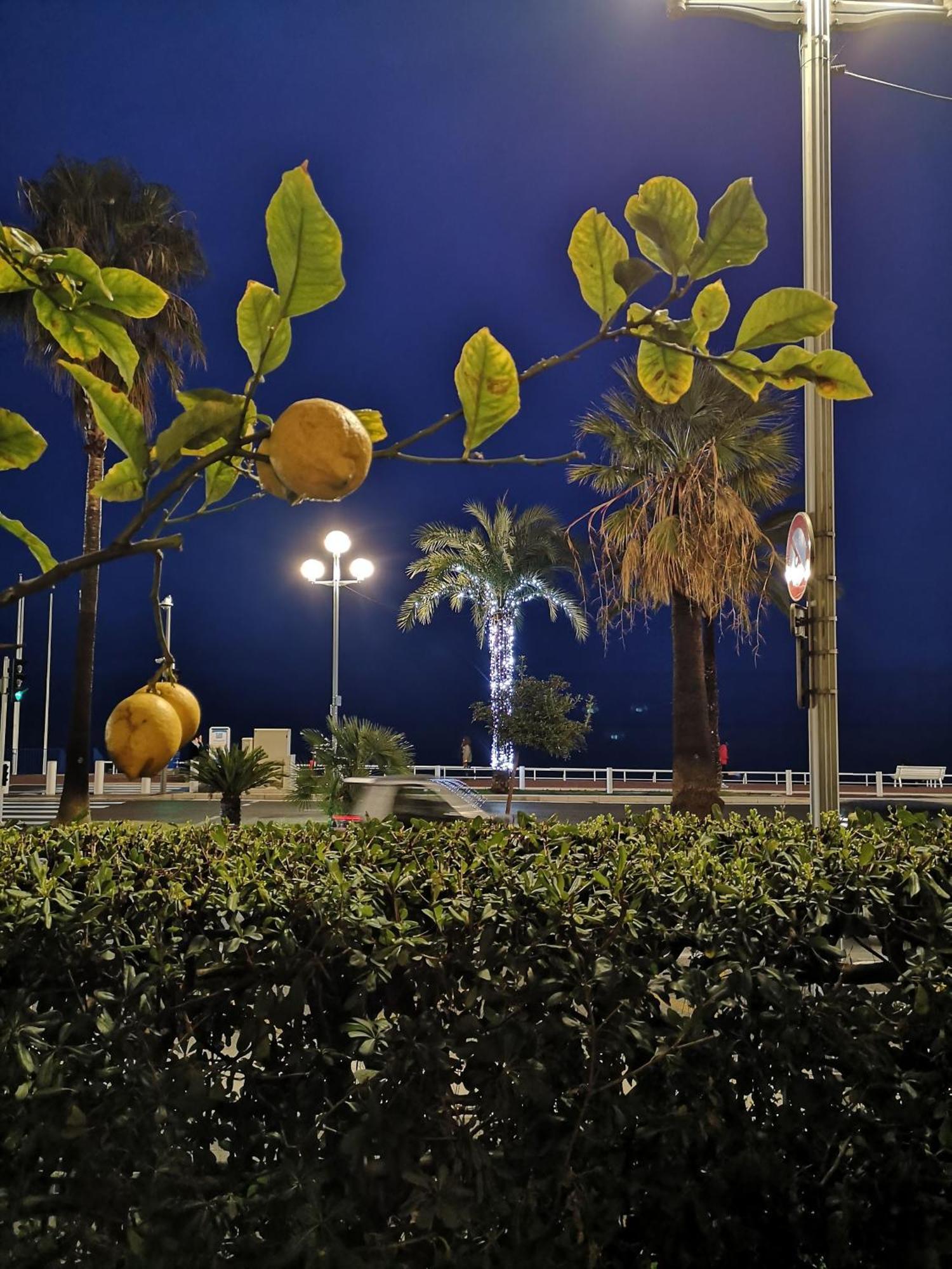 Apartamento Garden Atlantide Promenade Niza Exterior foto